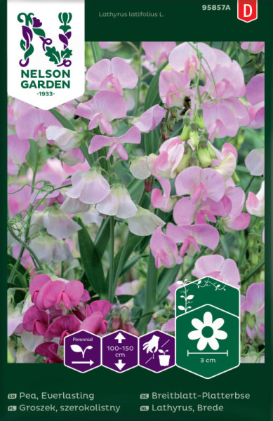 Produktbild von Nelson Garden Breitblättrige Platterbse mit Blüten in Rosa und Pflanzenpflege-Informationen