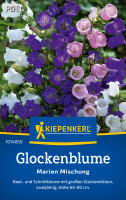 Kiepenkerl Glockenblume Marien Mischung