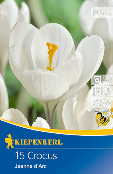 Produktbild von Kiepenkerl Grossblumiger Krokus Jeanne d`Arc mit einer Nahaufnahme der weissen Blüte, Verpackungsdesign und Pflanzinformationen.
