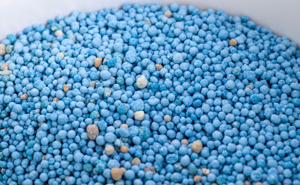 2400-close-up-of-a-blue-chemical-fertilizer-texture-for-background-usagegENfQLvNb1WsE