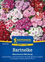 Kiepenkerl Bartnelke Maccarenia Mischung
