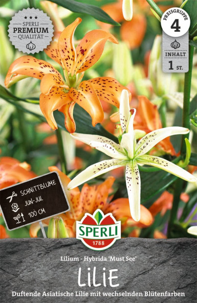 Produktbild von Sperli Lilie Must See mit der Abbildung von blühenden orangefarbenen und weißen Lilien sowie Informationen zu Blütezeit und Wuchshöhe auf einer Verpackung