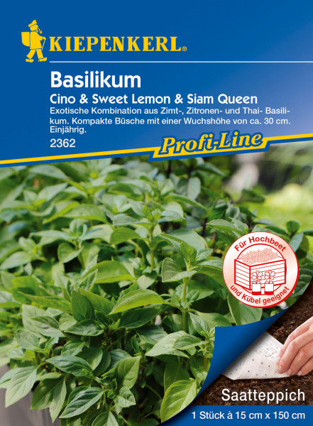 Basilikum Cino & Sweet Lemon & Siam Queen, Saatteppich