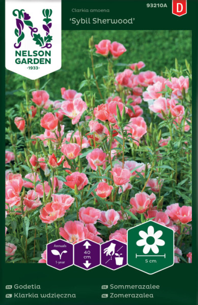 Produktbild von Nelson Garden Sommerazalee Sybil Sherwood mit blühenden rosa Blumen und Verpackungsinformationen auf Deutsch.