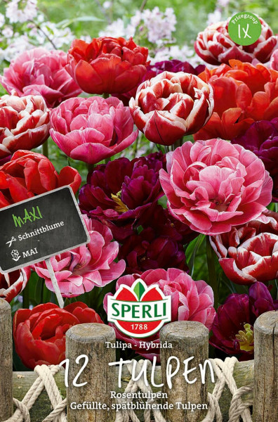 Produktbild von Sperli Maxi Tulpen Rosentulpen-Mischung mit gefüllten spätblühenden Tulpen in verschiedenen Rottönen vor einem Gartenzaun mit Markierungstafel und Produktlogo