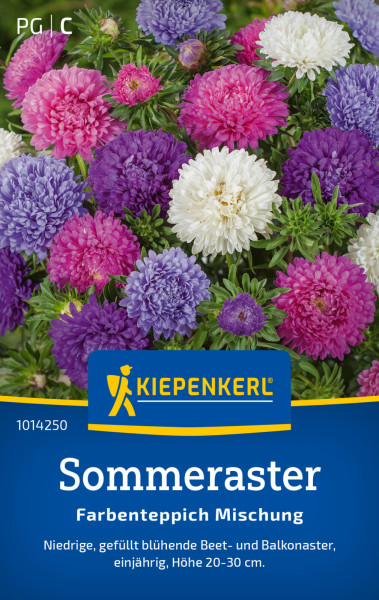 Kiepenkerl Sommeraster Farbenteppich Mischung