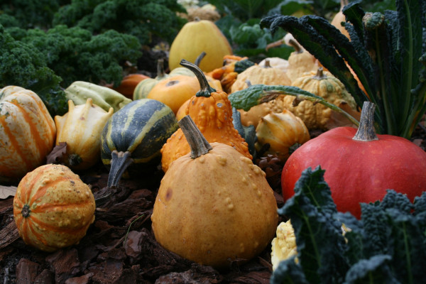 gourds-202697_1920