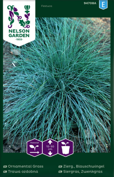 Produktbild von Nelson Garden Ziergras Blauschwingel mit der Pflanze im Vordergrund und Verpackungsinformationen wie Logo, Pflanzentyp und Pflanzenhöhe im Hintergrund.