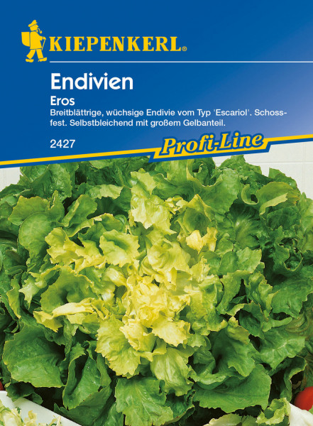Produktbild von Kiepenkerl Endivie Eros mit Darstellung der Endivienpflanze und Verpackungsinformationen wie Typbeschreibung und Artikelnummer.