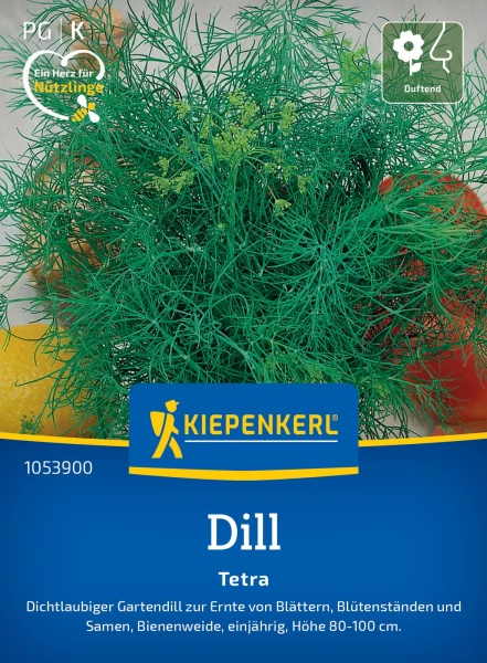 dvd aufbewahrung ideen Einsatz für IKEA Kallax für eine CD-Sammlung main image 1