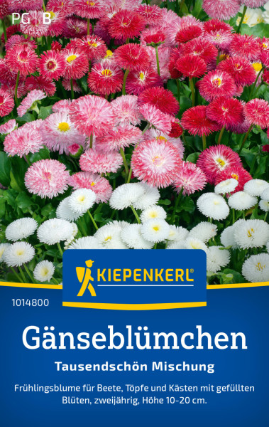 Kiepenkerl Gänseblümchen Tausendschön Mischung