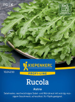 Kiepenkerl Rucola Astra