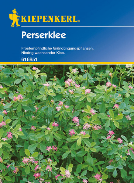 Produktbild von Kiepenkerl Perserklee 60 g mit Darstellung von blühendem Klee, Produktbezeichnung und Hinweisen zu Eigenschaften der Pflanze in deutscher Sprache.