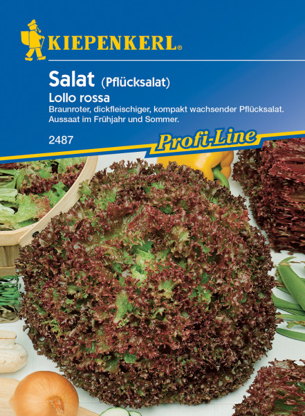 Produktbild von Kiepenkerl Pflücksalat Lollo Rossa mit Details zur Pflanze und Aussaatempfehlungen Frühjahr und Sommer auf der Verpackung.