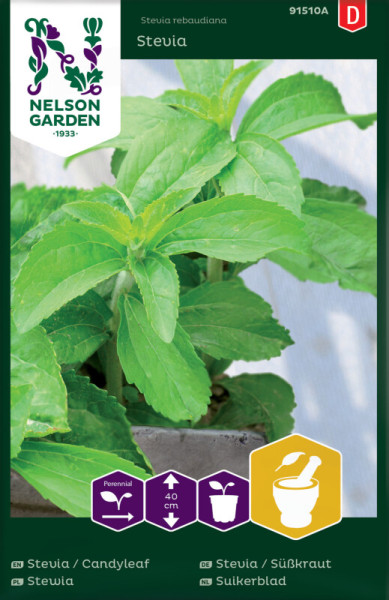 Produktbild von Stevia Pflanze in einem Topf auf der Verpackung von Nelson Garden mit Anbauinformationen und Markenlogo.