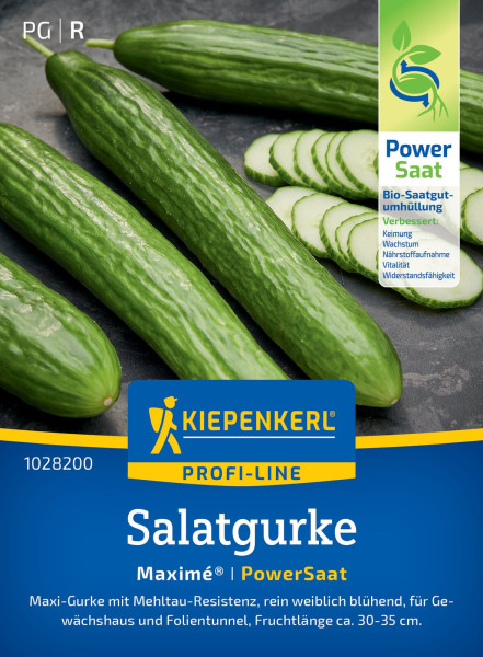 Kiepenkerl Salatgurke Maximé® F1 PowerSaat