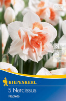 Kiepenkerl Gefüllte Narzisse Replete