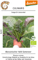 Culinaris BIO Abessinischer Kohl Gomenzer