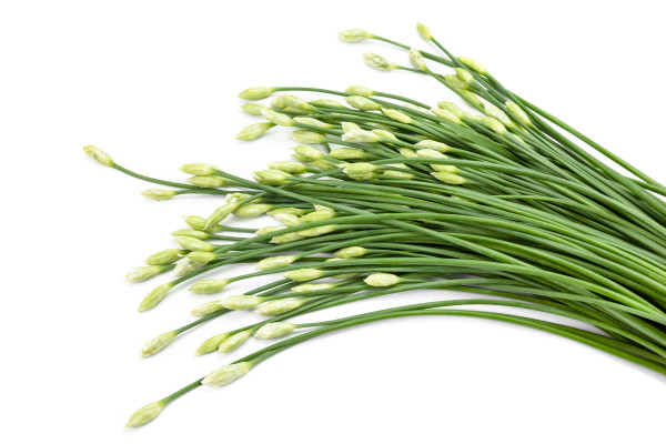 large-garlic-chive-in-threshing-basket-isolated-on-white-4