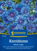Kiepenkerl Kornblume Blauer Junge