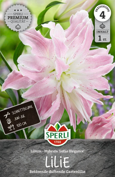 Produktbild von Sperli Lilie Lotus Elegance mit Abbildung einer rosa blühenden Lilie Informationen zur Pflanzzeit und Wuchshöhe sowie SPERLI Logo und Qualitätsiegel.
