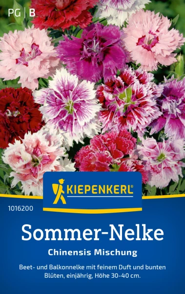 zitronengras als zimmerpflanze Zitronen Gras  Kruterfritz
