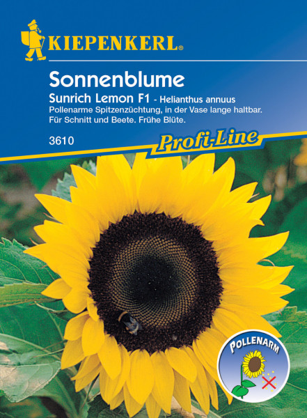 Kiepenkerl Sonnenblume Sunrich Lemon, F1