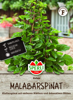 SPERLI Malabarspinat Rubra