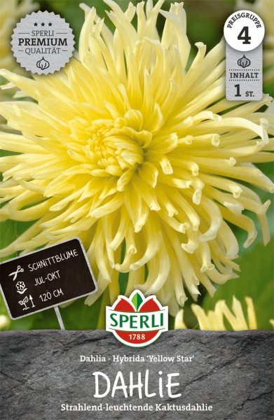 Produktbild von Sperli Dahlie Yellow Star mit Nahaufnahme der gelben Blüte und Informationen zu Pflanzzeit Schnittblume von Juli bis Oktober und Wuchshöhe von 120 cm auf der Verpackung.