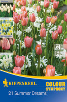 Kiepenkerl Colour Symphony Summer Dreams