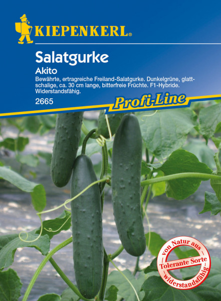 Produktbild von Kiepenkerl Salatgurke Akito F1 mit Abbildung der Gurkenpflanze und Informationen zu den Eigenschaften der Gurkensorte auf Deutsch.