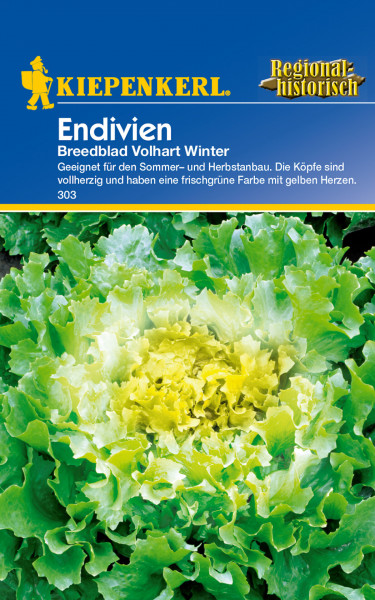 Endivie Breedblad Volhart Winter