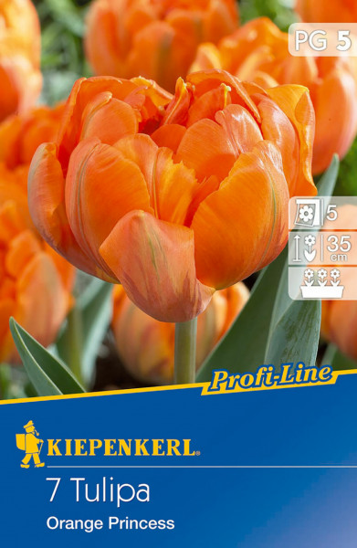 Produktbild der Kiepenkerl Profi-Line Gefüllte späte Tulpe Orange Princess mit einer Nahaufnahme der orangefarbenen Blüten und Verpackungsinformationen.