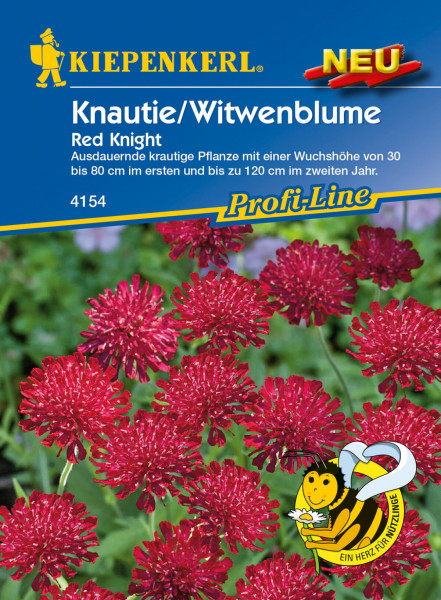 Kiepenkerl Knautie / Witwenblume Red Knight