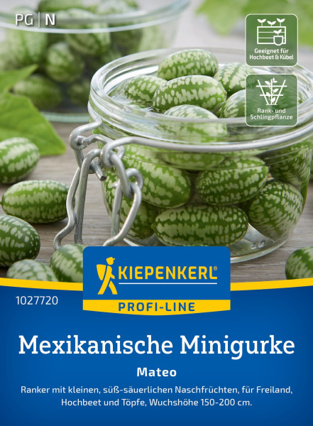 Kiepenkerl Mexikanische Minigurke Mateo