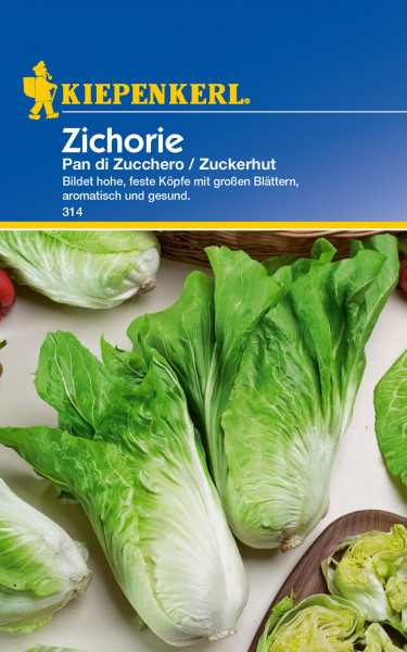 Produktbild von Kiepenkerl Zichorie Pan di Zucchero Saatgutverpackung mit Darstellung der Pflanze und Produktinformationen in deutscher Sprache.