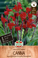 Sperli Blumenrohr Brillant