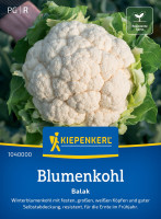 Kiepenkerl Blumenkohl Balak F1