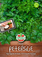 Sperli Petersilie Peione, Saatscheibe