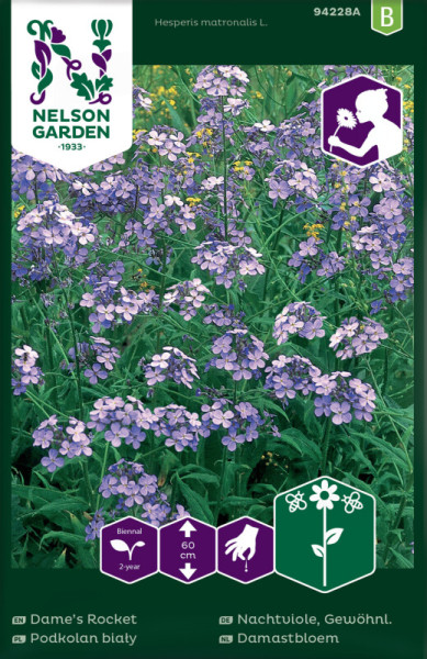 Produktbild von Nelson Garden Gewöhnliche Nachtviole mit Pflanzenbild und Informationen wie zweijährige Kultur, Wuchshöhe und Piktogrammen zur Aussaat.