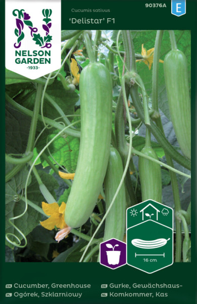Produktbild von Nelson Garden Gewächshaus-Gurke Delistar F1 mit Abbildung der Gurkenpflanze mit Früchten und Blüten sowie Produktinformationen und Symbolen für die Anzucht.