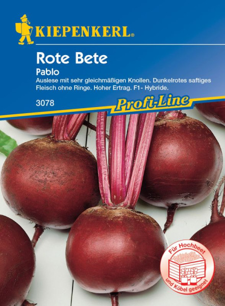 Produktbild von Kiepenkerl Rote Bete Pablo F1 mit Abbildung der roten Beete Knollen und Beschreibung der Eigenschaften sowie der Produktlinie ProfiLine in deutscher Sprache.