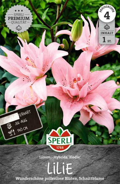 Produktbild von Sperli Gartenlilie Elodie mit rosa Blüten und Informationen zu Blütezeit, Höhe und Markenlogo