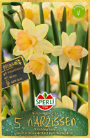Sperli Premium Botanische Narzisse Blushing Lady