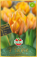 Sperli Premium Gefüllte Späte Tulpe Freeman
