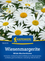 Kiepenkerl Wiesenmargerite