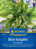 Kiepenkerl Blut-Ampfer Bloody Dock