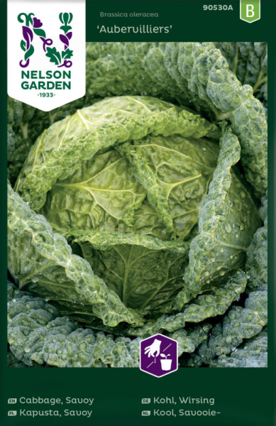 Produktbild von Nelson Garden Wirsing Aubervilliers Saatgutverpackung mit Abbildung eines Wirsingkopfs und mehrsprachigen Produktinformationen
