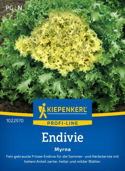 Endivien dngen: Tipps fr reiche Ernte | Samen.de