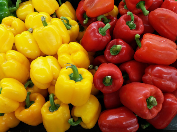 colorful-peppers-2584355_1920